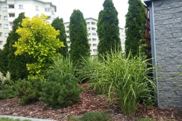 20170630_111735_wynik