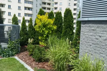 20170630_113406_wynik
