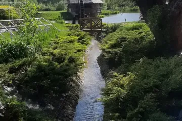 20190528_161530_wynik
