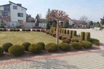 20220316_135141_wynik