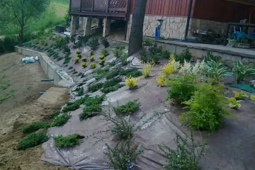 20110607421_wynik