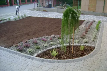 DSC01043_wynik